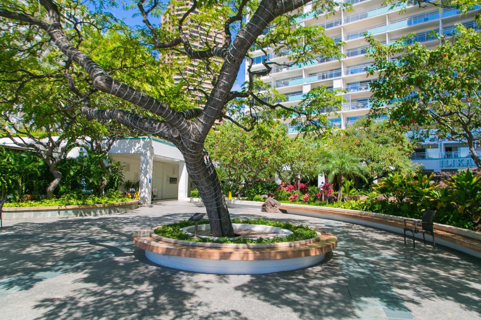 Appartamento Ilikai Tower 404